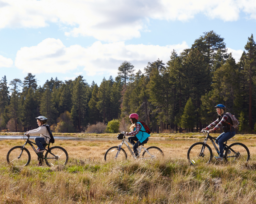 Mountainbikeroute Gieten-Gasselte